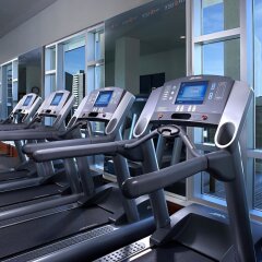 Отель Hyatt Regency Calgary Канада, Калгари - отзывы, цены и фото номеров - забронировать отель Hyatt Regency Calgary онлайн фото 7