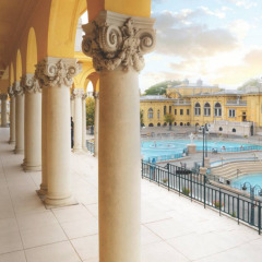 Отель Four Seasons Gresham Palace бассейн фото 2