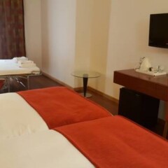 Отель Lezíria Parque Hotel Португалия, Вила-Франка-де-Ксира - отзывы, цены и фото номеров - забронировать отель Lezíria Parque Hotel онлайн удобства в номере