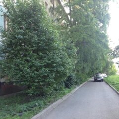Гостиница Kvartira Alexandra в Санкт-Петербурге отзывы, цены и фото номеров - забронировать гостиницу Kvartira Alexandra онлайн Санкт-Петербург приотельная территория