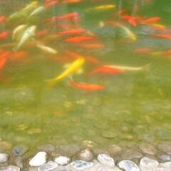 Noahs Hotel Suzhou фото 3