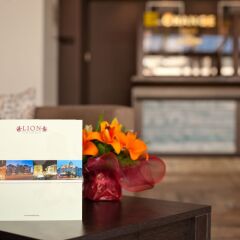 Lion Hotel развлечения