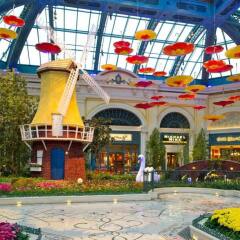 Отель Bellagio бассейн фото 2