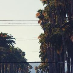 Loews Hollywood Hotel пляж фото 2