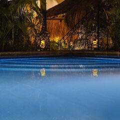 Отель La Leyenda Boutique Hotel Мексика, Плая-дель-Кармен - отзывы, цены и фото номеров - забронировать отель La Leyenda Boutique Hotel онлайн бассейн фото 3