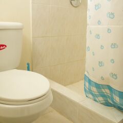 Отель Greenoasis Guest House ванная