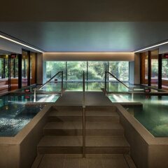 Отель The Shilla Seoul Южная Корея, Сеул - 1 отзыв об отеле, цены и фото номеров - забронировать отель The Shilla Seoul онлайн бассейн фото 3