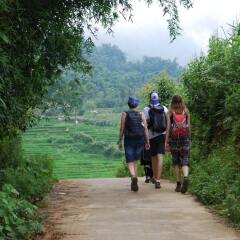 Хостел BC Family Homestay - Hanoi's Heart Ханой приотельная территория фото 2