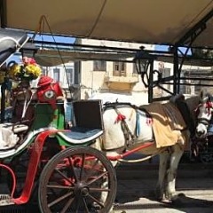 Отель Rachel Hotel Греция, Эгина - 1 отзыв об отеле, цены и фото номеров - забронировать отель Rachel Hotel онлайн городской автобус