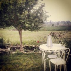 Отель B&b Alla Rotonda Vicenza Италия, Виченца - отзывы, цены и фото номеров - забронировать отель B&b Alla Rotonda Vicenza онлайн помещение для мероприятий фото 2