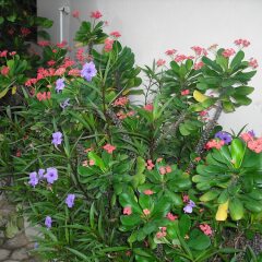 Отель Osda Guest House балкон