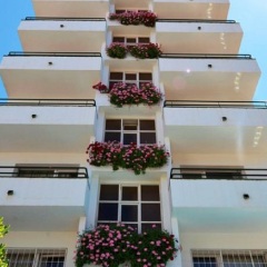 Отель Hostal Magnolia Испания, Льорет-де-Мар - отзывы, цены и фото номеров - забронировать отель Hostal Magnolia онлайн фото 9