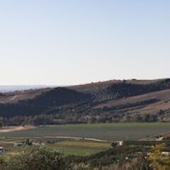 Отель Los Olivos Испания, Аркос -де-ла-Фронтера - отзывы, цены и фото номеров - забронировать отель Los Olivos онлайн приотельная территория