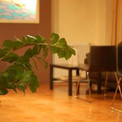 Platon Hotel интерьер отеля фото 3