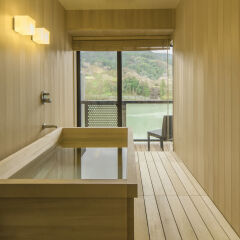 Отель River Retreat GARAKU Тояма бассейн