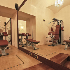 Alchymist Grand Hotel & Spa фитнесс-зал фото 2