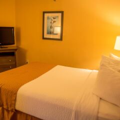 Отель Best Western Oceanfront - New Smyrna Beach комната для гостей фото 5