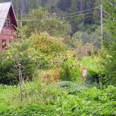 Гостиница Green tourism