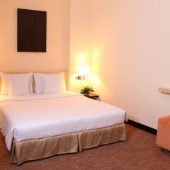 Отель Palace Hotel Saigon Вьетнам, Хошимин - 1 отзыв об отеле, цены и фото номеров - забронировать отель Palace Hotel Saigon онлайн фото 5