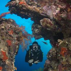 Отель Aqaba Adventure Divers Village спортивное сооружение