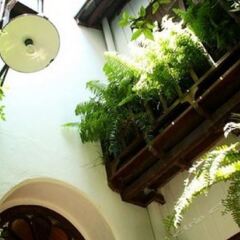Отель The Bhuthorn Bed And Breakfast Бангкок фото 3