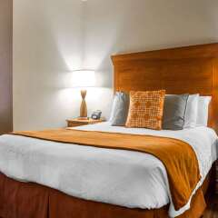 St James Hotel New Orleans Downtown French Quarter Area In New Orleans United States Of America From 167 Photos Reviews Zenhotels Com