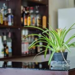Little Buddha Hotel гостиничный бар