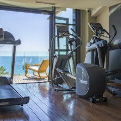 Отель Radisson Blu 1835 Hotel & Thalasso, Cannes Франция, Канны - 2 отзыва об отеле, цены и фото номеров - забронировать отель Radisson Blu 1835 Hotel & Thalasso, Cannes онлайн фитнесс-зал фото 2