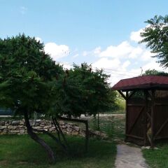 Отель Ajax Guest House Болгария, Кранево - отзывы, цены и фото номеров - забронировать отель Ajax Guest House онлайн фото 7