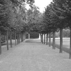 Отель B&B A Cote du Cinquantenaire Бельгия, Брюссель - отзывы, цены и фото номеров - забронировать отель B&B A Cote du Cinquantenaire онлайн фото 3