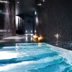 Отель Sofitel Munich Bayerpost бассейн