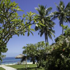Отель Castaway Island Fiji фото 16