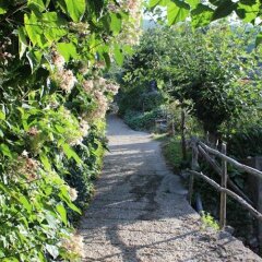 Отель Agriturismo Nonno Tobia Аджерола фото 10
