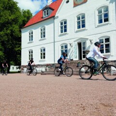 Отель Sinatur Hotel Haraldskær Дания, Вайле - отзывы, цены и фото номеров - забронировать отель Sinatur Hotel Haraldskær онлайн спортивное сооружение