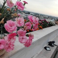 Отель B&B Nuho Corso Italia 89 Бари спа
