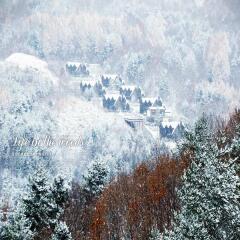 Отель Chalet Resort Южная Корея, Пхёнчан - отзывы, цены и фото номеров - забронировать отель Chalet Resort онлайн