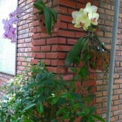 Отель Viet House Homestay фото 21