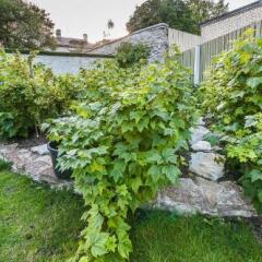 Отель Garden Camping Таллин фото 13