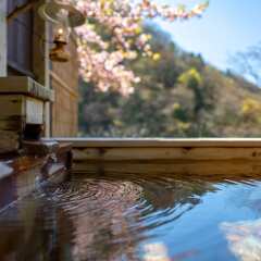 Отель Miyakowasure Natsuse Onsen Дайсен комната для гостей