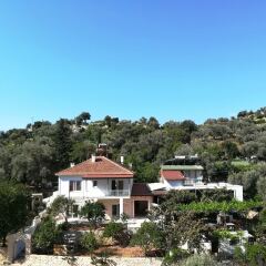 Guest House 7 Турция, Каш - отзывы, цены и фото номеров - забронировать отель Guest House 7 онлайн балкон