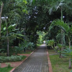 Pattaya Garden Hotel фото 10