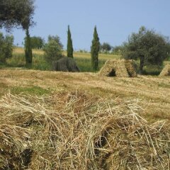 Отель Agriturismo Il Gelso Antico Италия, Реканати - отзывы, цены и фото номеров - забронировать отель Agriturismo Il Gelso Antico онлайн развлечения