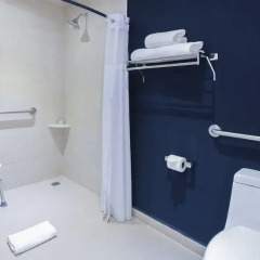 Отель Holiday Inn Express Cabo San Lucas Мексика, Кабо-Сан-Лукас - отзывы, цены и фото номеров - забронировать отель Holiday Inn Express Cabo San Lucas онлайн ванная фото 2