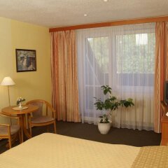 Отель Lazensky Hotel Pyramida I Чехия, Франтишкови-Лазне - отзывы, цены и фото номеров - забронировать отель Lazensky Hotel Pyramida I онлайн комната для гостей фото 5
