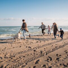 Отель Ibis Styles Zeebrugge пляж фото 2
