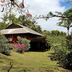 Отель Wananavu Beach Resort фото 16