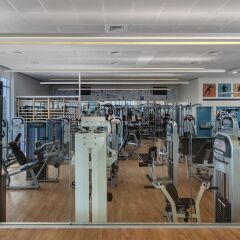 Ramat Rachel Resort Израиль, Иерусалим - 1 отзыв об отеле, цены и фото номеров - забронировать отель Ramat Rachel Resort онлайн фитнесс-зал фото 4