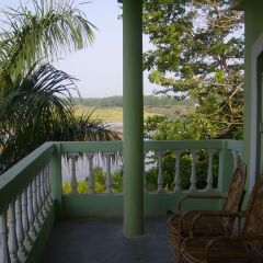 Отель Jungle Wildlife Camp Непал, Саураха - отзывы, цены и фото номеров - забронировать отель Jungle Wildlife Camp онлайн балкон