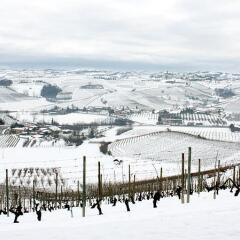 Отель Casa Svizzera Agriturismo Здание Barolo спортивное сооружение