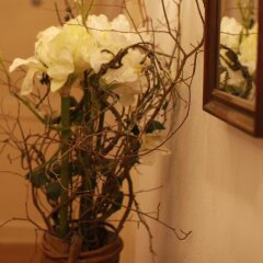 Отель B&B Greiner Австрия, Грац - отзывы, цены и фото номеров - забронировать отель B&B Greiner онлайн интерьер отеля